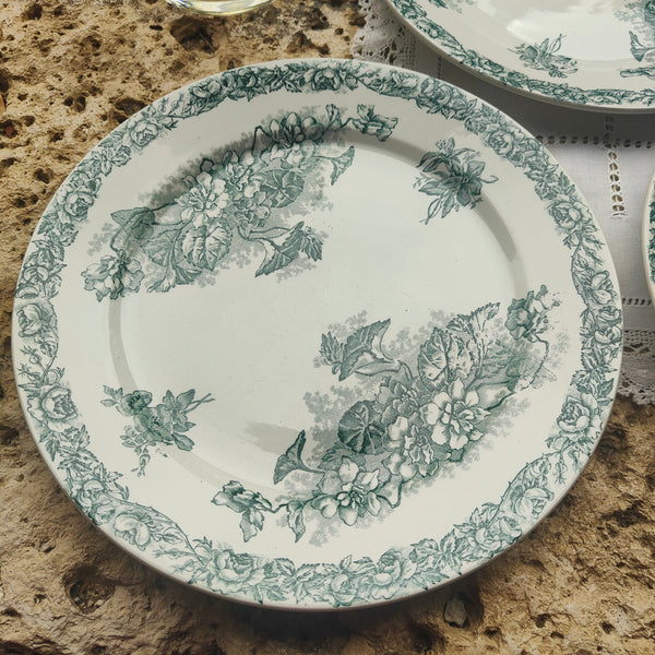 Assiette plate Pexonne