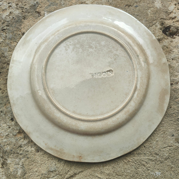 5 assiettes en barbotine Castres