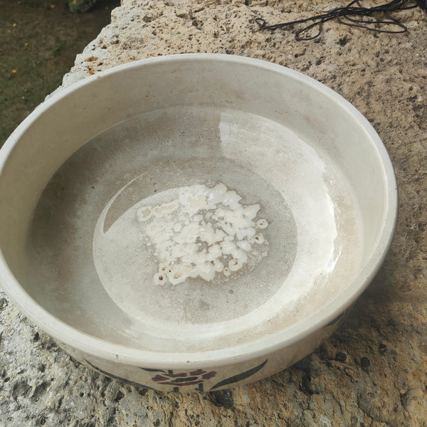 Ensemble de toilette Digoin Sarreguemines