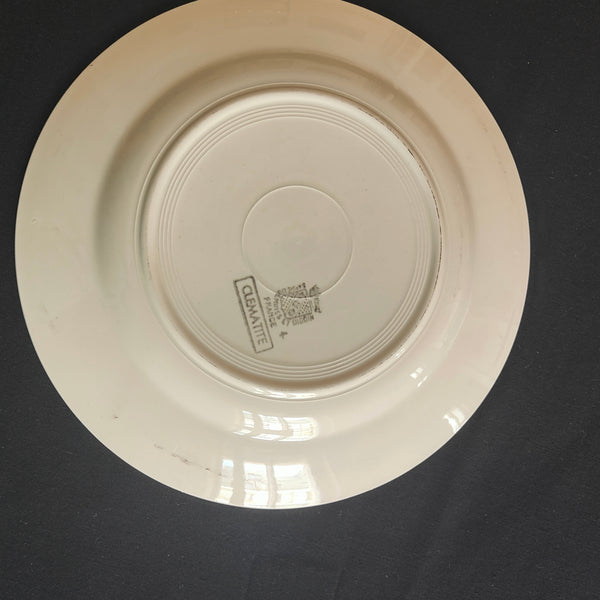 Assiettes  anciennes  Sarreguemine et Digoin