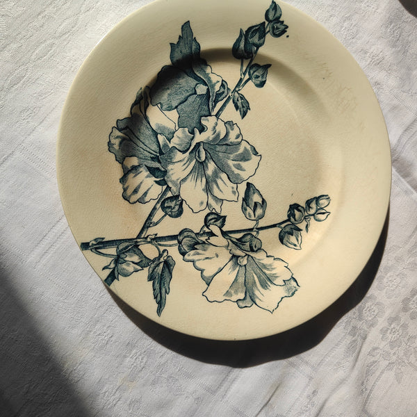 Assiette ancienne en terre de fer Salins