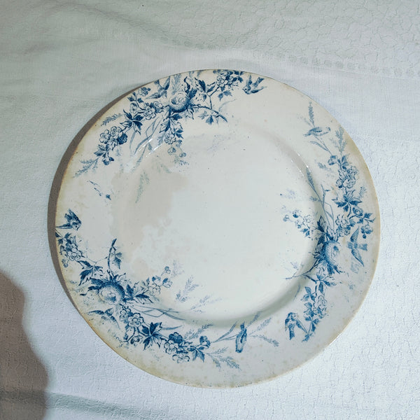 6 assiettes terre de fer Linotte Creil et Montereau