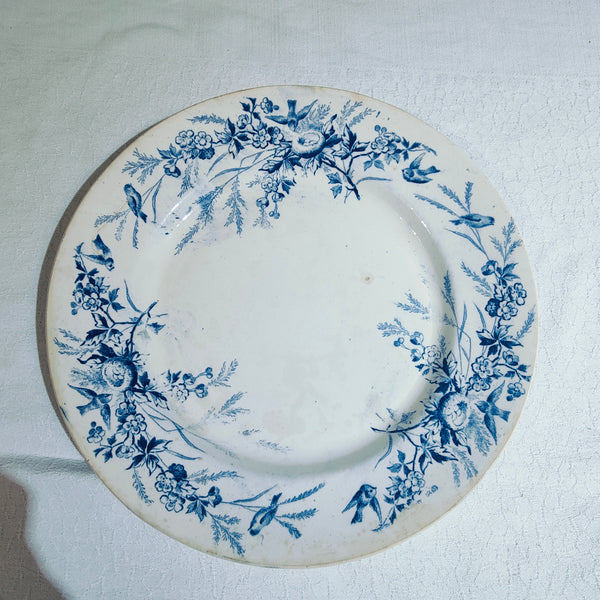 6 assiettes terre de fer Linotte Creil et Montereau