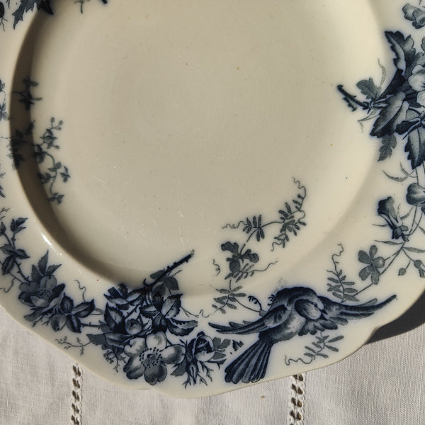Assiette ancienne en terre de fer Brown, Westhead, Moore &amp; Co