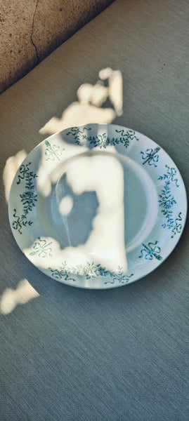 9 assiettes en terre de fer Longchamp