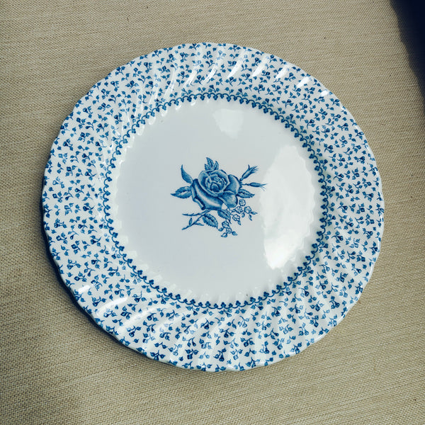 Assiette plate en porcelaine Johnson Bros