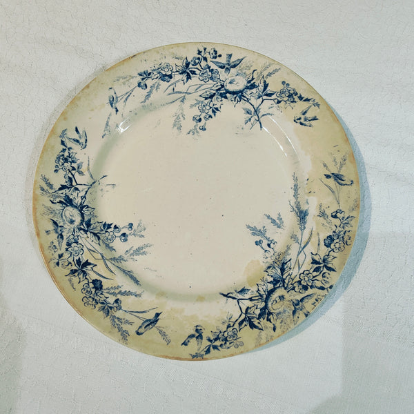 6 assiettes terre de fer Linotte Creil et Montereau