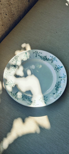 9 assiettes en terre de fer Longchamp