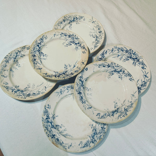 6 assiettes terre de fer Linotte Creil et Montereau