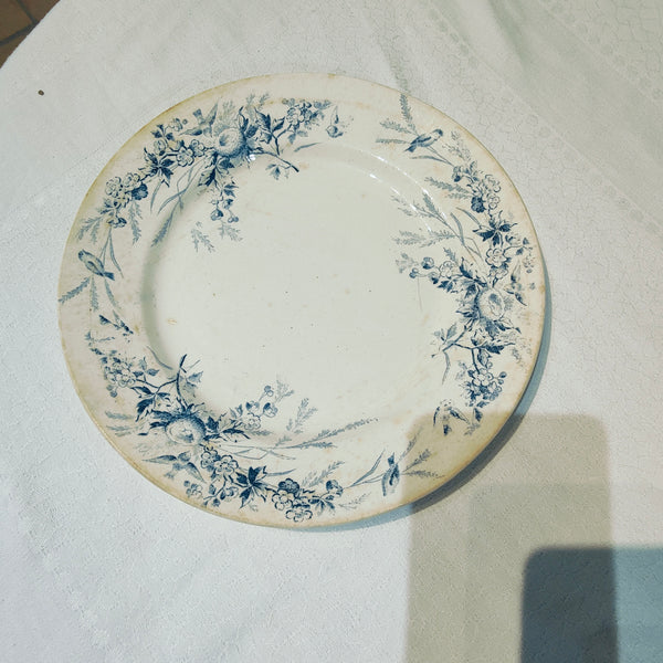 6 assiettes terre de fer Linotte Creil et Montereau