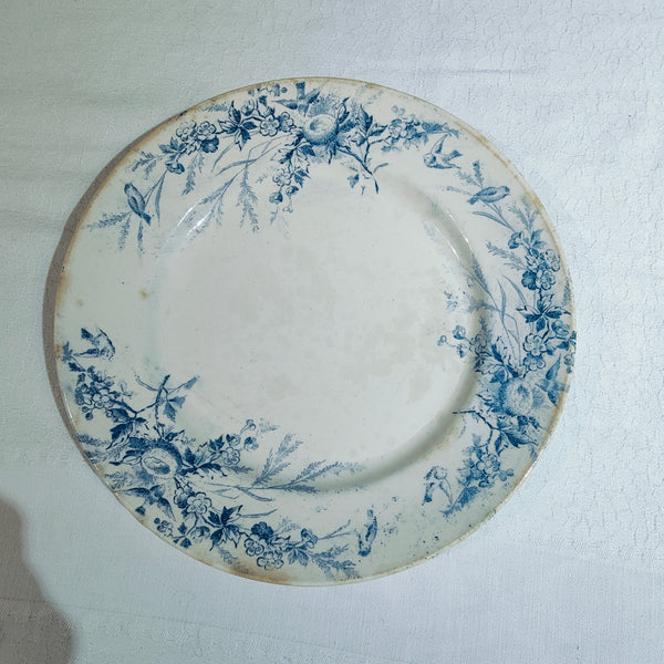 6 assiettes terre de fer Linotte Creil et Montereau