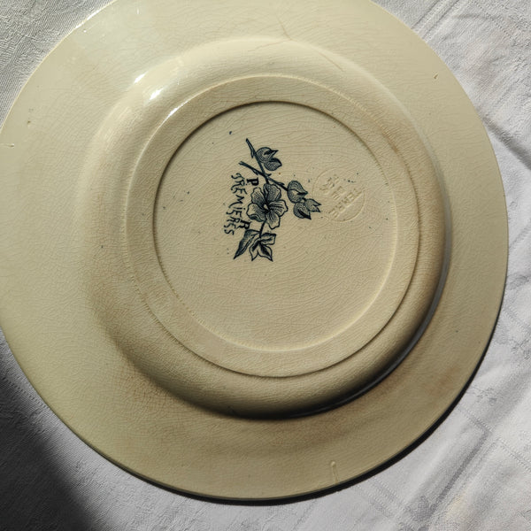 Assiette ancienne en terre de fer Salins