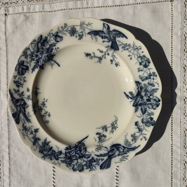 Assiette ancienne en terre de fer Brown, Westhead, Moore &amp; Co