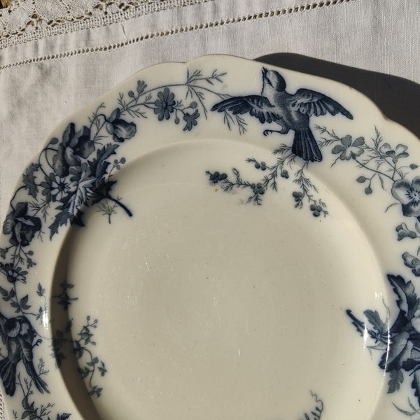 Assiette ancienne en terre de fer Brown, Westhead, Moore &amp; Co