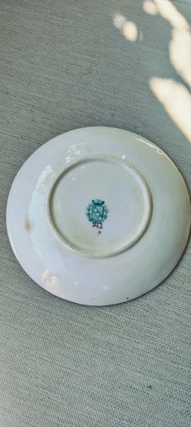 Tasse et soucoupe Sarreguemines Minton