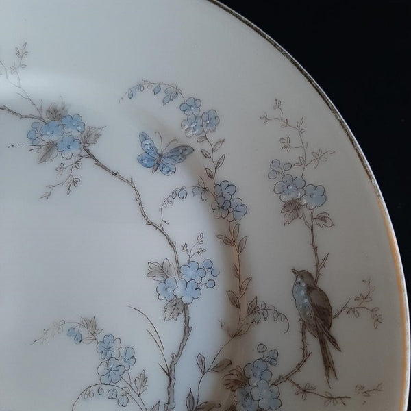 Assiettes anciennes en porcelaine fleurs de cerisier, oiseau, papillon