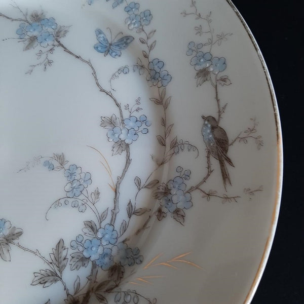 Assiettes anciennes en porcelaine fleurs de cerisier, oiseau, papillon