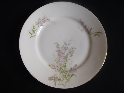 Assiette-plate-porcelaine-aux-lions-de-faience-the-collected-past